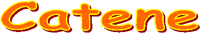 Tatami