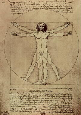 L'Uomo Vitruviano di Leonardo da Vinci