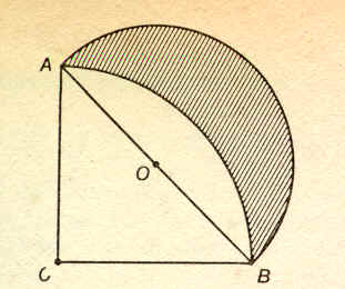 clicca qui per scoprire le propriet della lunula