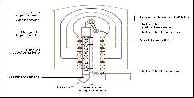 wpe1A.jpg (4168 byte)