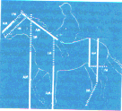 Cavallo.pcx (13787 byte)