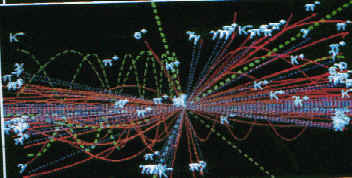 wpe4.jpg (12756 byte)