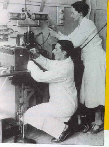 wpe3E.jpg (19418 byte)